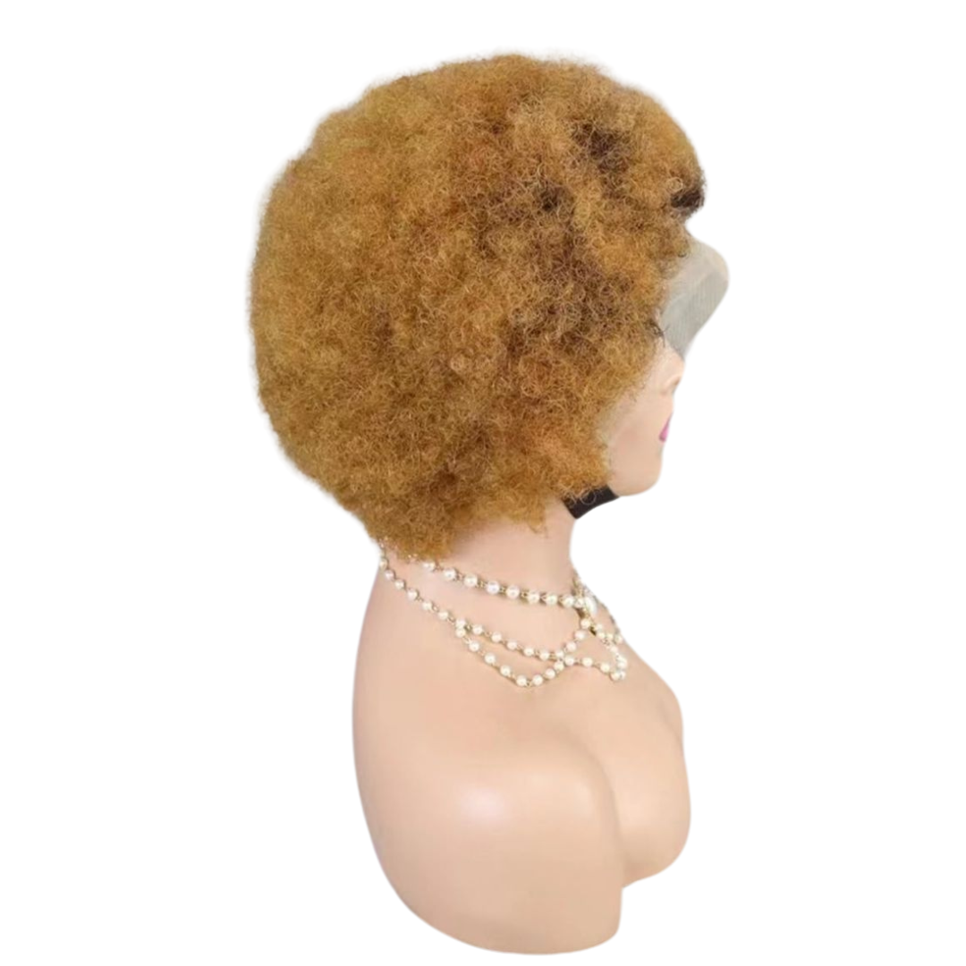 Afro Lace Wig  Human Hair