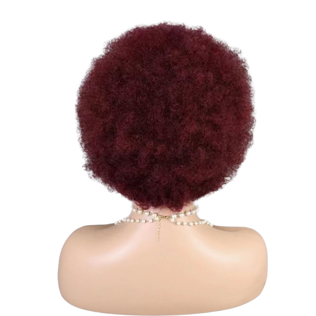 Afro lace Wig  human hair